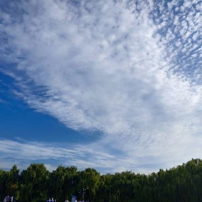 24名中国游客在加拿大因交通事故受伤